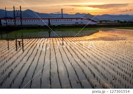 夕暮れ新幹線 127301554