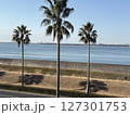 海岸沿いから眺めた海 127301753