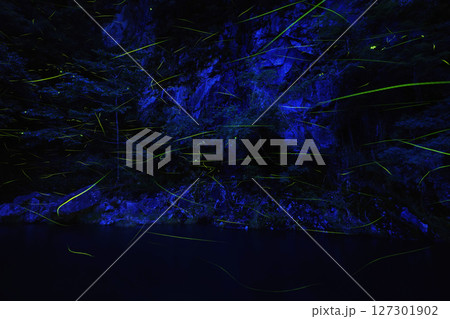 川面を飛び交う蛍 127301902