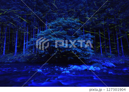 川面を飛び交う蛍 127301904