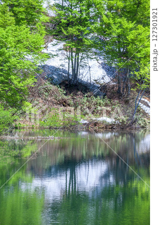 新緑の月山地蔵沼 127301921