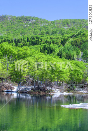 新緑の月山地蔵沼 127301923