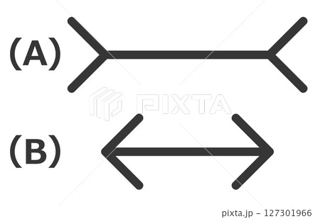 目の錯覚や思い込みで見える心理効果 127301966
