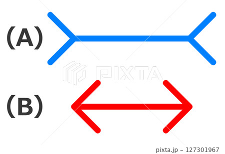 目の錯覚や思い込みで見える心理効果 127301967