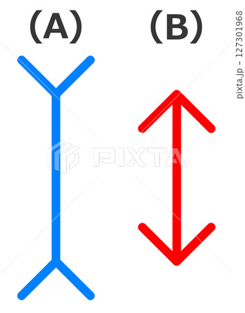 目の錯覚や思い込みで見える心理効果 目の錯覚や思い込みで見える心理効果 127301968