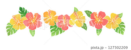 ハイビスカスの花 ハイビスカスの花 127302209