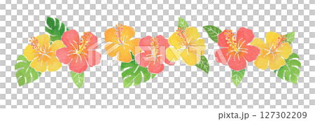 Hibiscus flowers 127302209