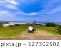 奄美大島　あやまる岬 127302502
