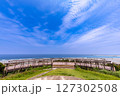 奄美大島　あやまる岬 127302508