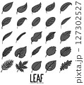 Leaf Doodle vector icon set. Drawing sketch illustration hand drawn line eps10 127302527