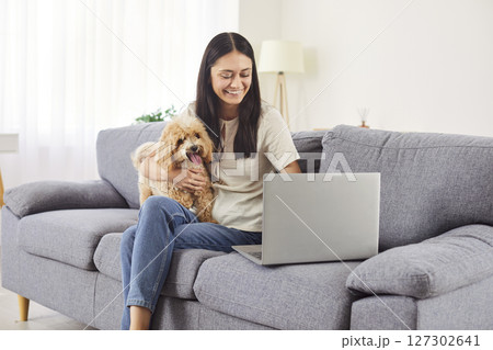 Young happy woman freelancer sitting on sofa at home with her pet dog and working on a laptop. Young happy woman freelancer sitting on sofa at home with her pet dog and working on a laptop. 127302641