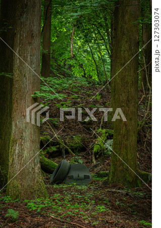 森に不法投棄されたタイヤとブラウン管テレビ・環境問題を訴える一枚 森に不法投棄されたタイヤとブラウン管テレビ・環境問題を訴える一枚 127303074