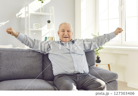 Portrait of a gray-haired elderly excited senior man sitting on sofa in the living room at home 127303406
