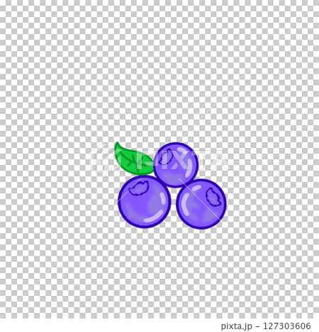 Simple blueberry fruit fruits 127303606