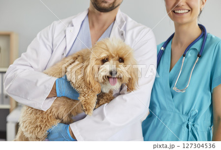 Professional veterinarians at animal clinic take care of cute little fluffy pet dog 127304536