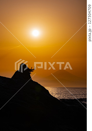 富士と一人の夕景 富士と一人の夕景 127304709