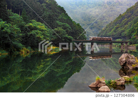 深い新緑の宮川を渡る高山本線の気動車 深い新緑の宮川を渡る高山本線の気動車 127304806