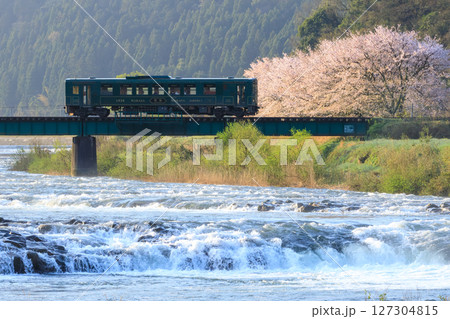雪解け水の水量豊かな春の朝に満開の桜を背景に鉄橋を渡るローカル鉄道 127304815