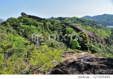 ひき岩群　【和歌山県田辺市】 127305885