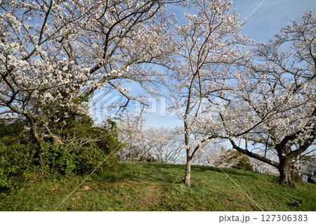 百合山(最初ヶ峰) 【和歌山県紀の川市】 百合山(最初ヶ峰) 【和歌山県紀の川市】 127306383