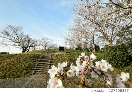 百合山(最初ヶ峰) 【和歌山県紀の川市】 百合山(最初ヶ峰) 【和歌山県紀の川市】 127306387
