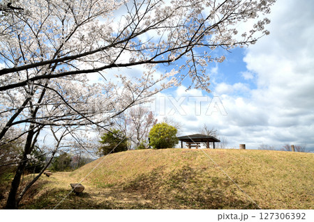 百合山(最初ヶ峰) 【和歌山県紀の川市】 百合山(最初ヶ峰) 【和歌山県紀の川市】 127306392