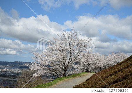 百合山(最初ヶ峰) 【和歌山県紀の川市】 百合山(最初ヶ峰) 【和歌山県紀の川市】 127306393