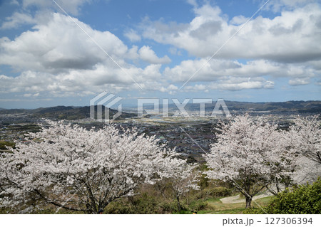 百合山(最初ヶ峰)　【和歌山県紀の川市】 127306394