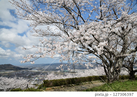 百合山(最初ヶ峰) 【和歌山県紀の川市】 百合山(最初ヶ峰) 【和歌山県紀の川市】 127306397