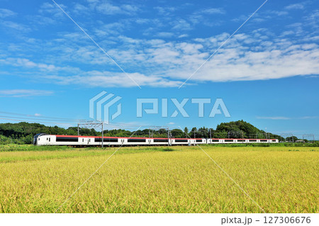 秋の青空と田んぼ そして成田エクスプレス 秋の青空と田んぼ そして成田エクスプレス 127306676