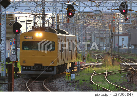 ［JR-V］伯備線115系電車（始発列車：岡山発米子行） 127306847