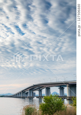 うろこ雲がわく琵琶湖大橋 127306880