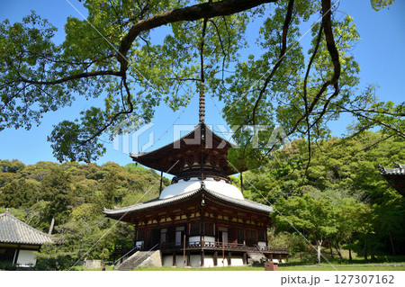 根来寺(多宝塔)　【和歌山県岩出市】 127307162