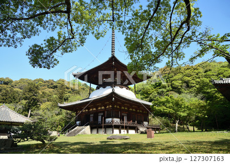 根来寺(多宝塔)　【和歌山県岩出市】 127307163