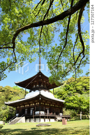 根来寺(多宝塔)　【和歌山県岩出市】 127307164