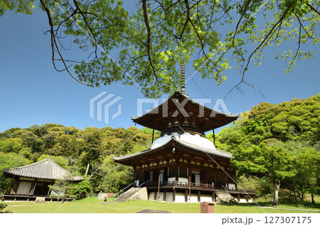 根来寺(多宝塔) 【和歌山県岩出市】 根来寺(多宝塔) 【和歌山県岩出市】 127307175