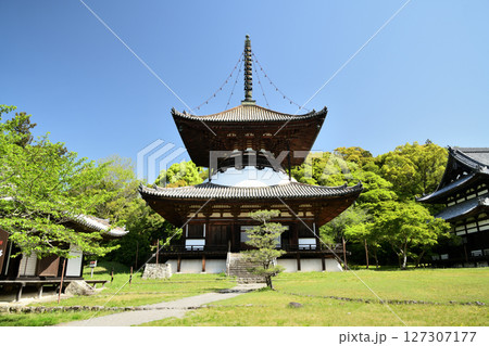 根来寺(多宝塔)　【和歌山県岩出市】 127307177