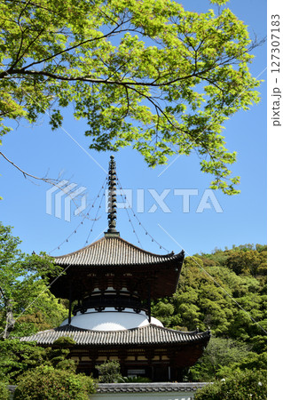 根来寺(多宝塔) 【和歌山県岩出市】 根来寺(多宝塔) 【和歌山県岩出市】 127307183