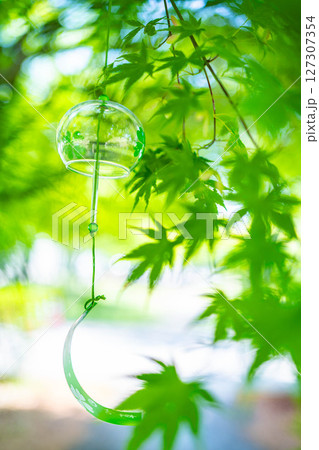 【夏素材】風鈴とモミジの新緑と青空【長野県】 【夏素材】風鈴とモミジの新緑と青空【長野県】 127307354