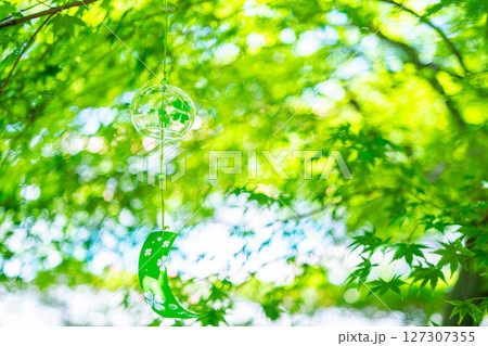 【夏素材】風鈴とモミジの新緑と青空【長野県】 127307355
