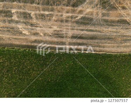 Aerial view of rural car tracks in crop field and green meadow grass background Aerial view of rural car tracks in crop field and green meadow grass background 127307557