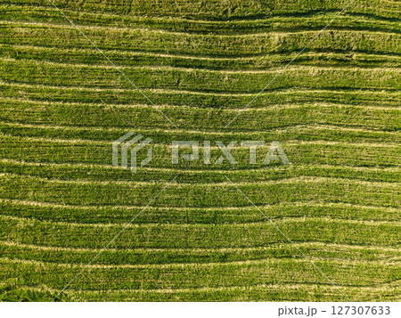 Aerial view of rural car tracks in green crop field background 127307633