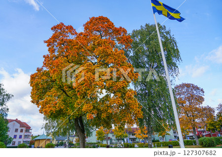 Sjötorget Osthammar 127307682