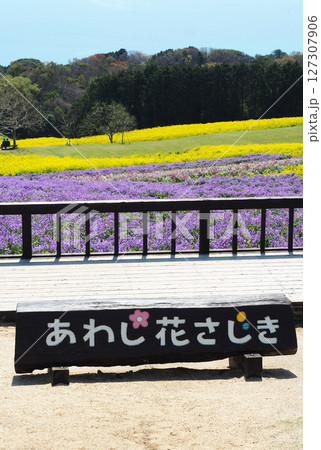 4月の兵庫県立公園あわじ花さじき 4月の兵庫県立公園あわじ花さじき 127307906