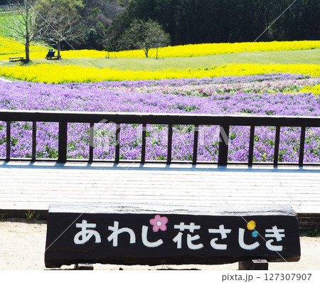 4月の兵庫県立公園あわじ花さじき 127307907