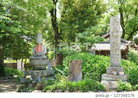 甚目寺観音 仏像 尾張四観音 甚目寺観音 仏像 尾張四観音 127308176