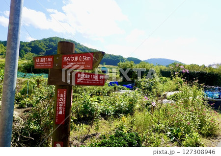 山の辺の道（やまのべのみち）　長岳寺と崇神天皇陵と景行天皇陵への分岐の道標がある風景　奈良県桜井市 127308946