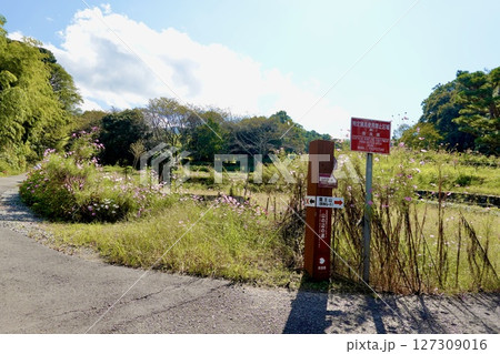 山の辺の道（やまのべのみち）　龍王山（崇神ルート）への道標がある風景　奈良県天理市 127309016