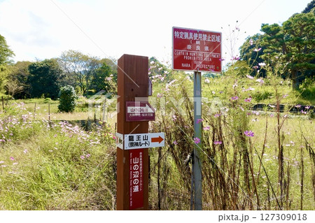 山の辺の道（やまのべのみち）　龍王山（崇神ルート）への道標がある風景　奈良県天理市 127309018