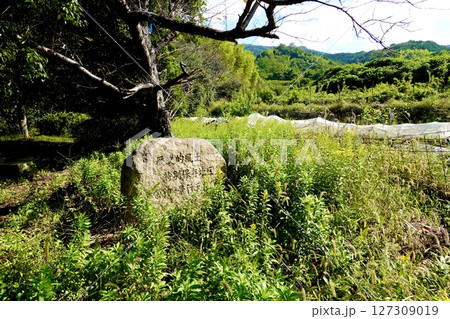 山の辺の道(やまのべのみち) 歴史的風土特別保存地区 崇神・景行天皇陵の石碑がある風景 奈良県天理市 山の辺の道(やまのべのみち) 歴史的風土特別保存地区 崇神・景行天皇陵の石碑がある風景 奈良県天理市 127309019
